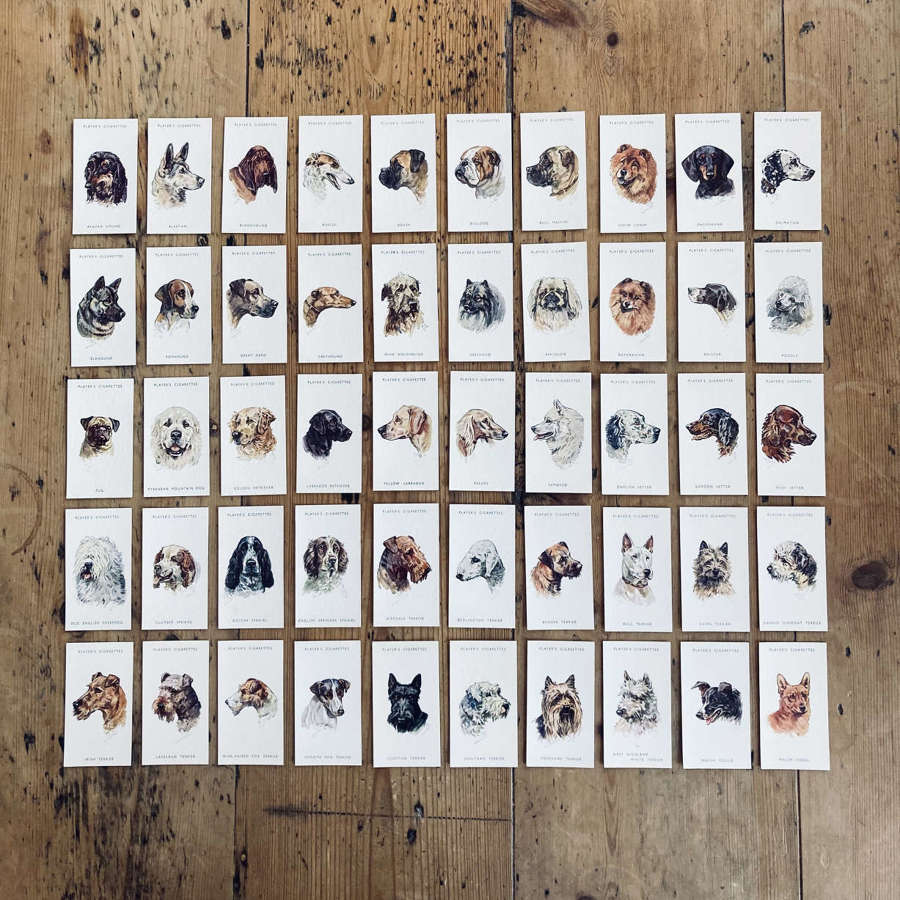 John Player's cigarettes set of 50 dog cards.