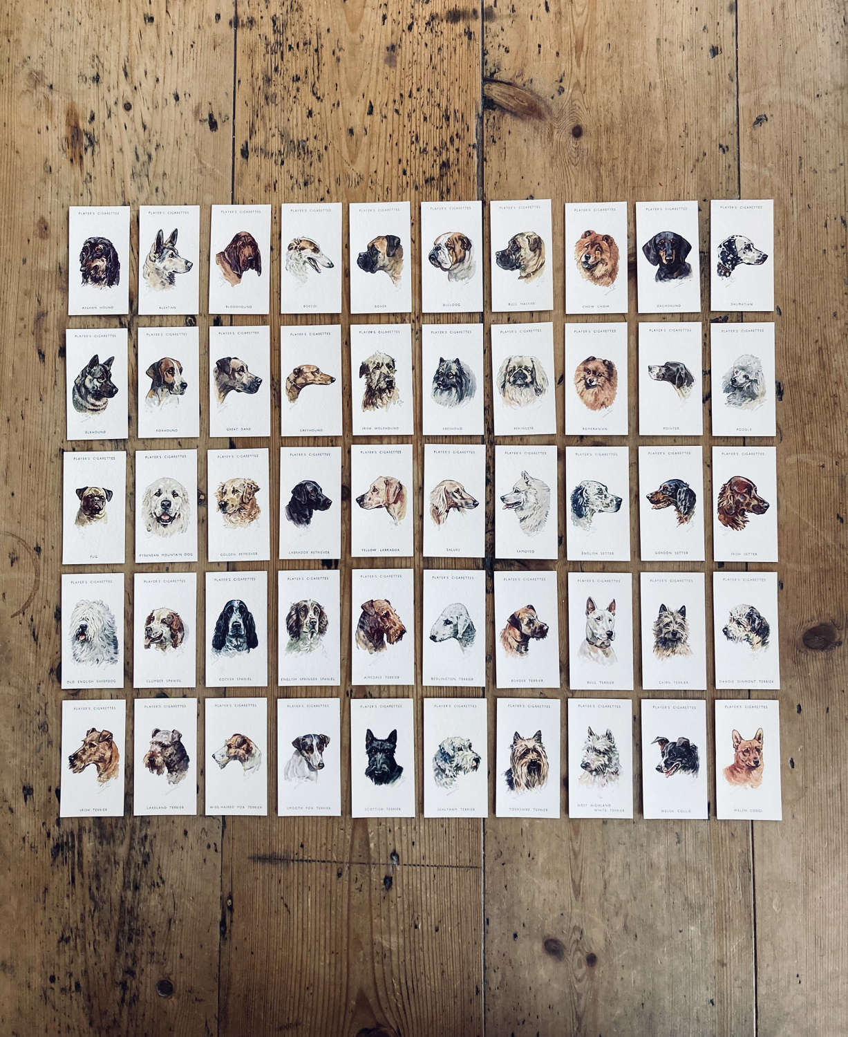 John Player's cigarettes set of 50 dog cards.